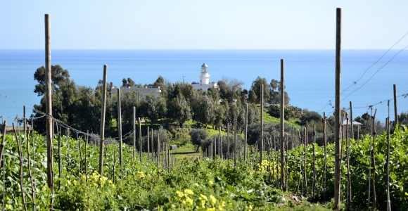 Agriturismo 'A Lanterna - Monasterace