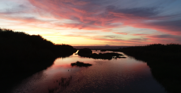 Riserva Naturale Foce del Fiume Mesima