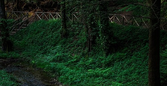 Parco Naturale Regionale delle Serre
